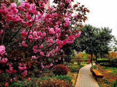 学校风采